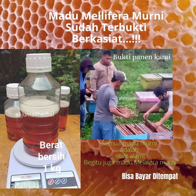 

Madu Perkebunan Madu Asli murni mellifera Nektar Bunga Alam untuk Darah tinggi lambung kolesterol gula nafsu makan imun alami