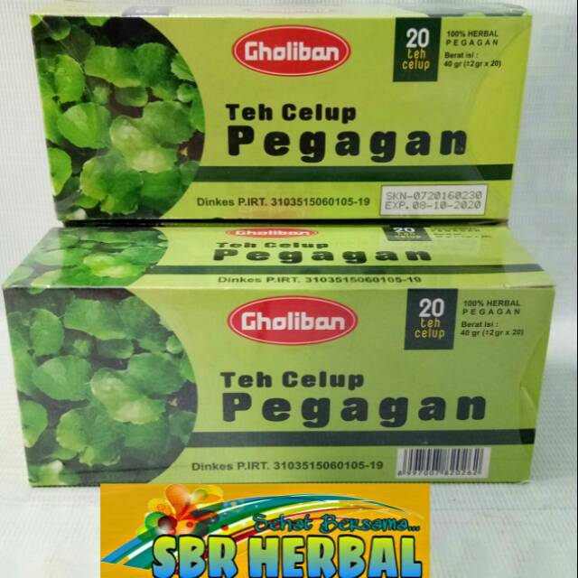 

Teh Celup Pegagan Gholiban