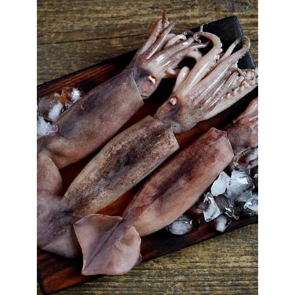 

Cumi-cumi Segar Per 500gr