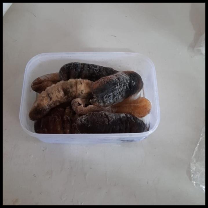 

Teripang Haisom / Hoisem 500Gr Bangka Belitung Frozen Beku Terenak