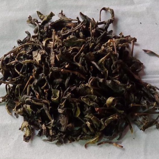 

DAUNTEH TAYU ASLI BANGKA/TEH TAYU DAUN PUCUK MUDA/CHA JAP