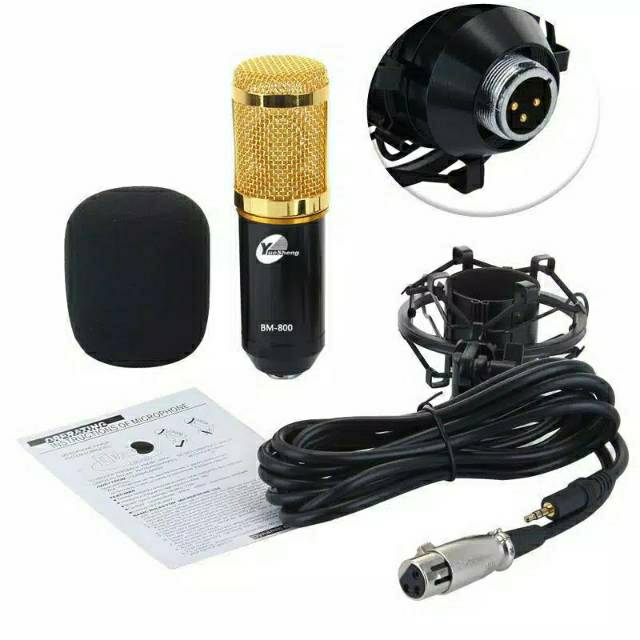 Mic BM 800 Condenser