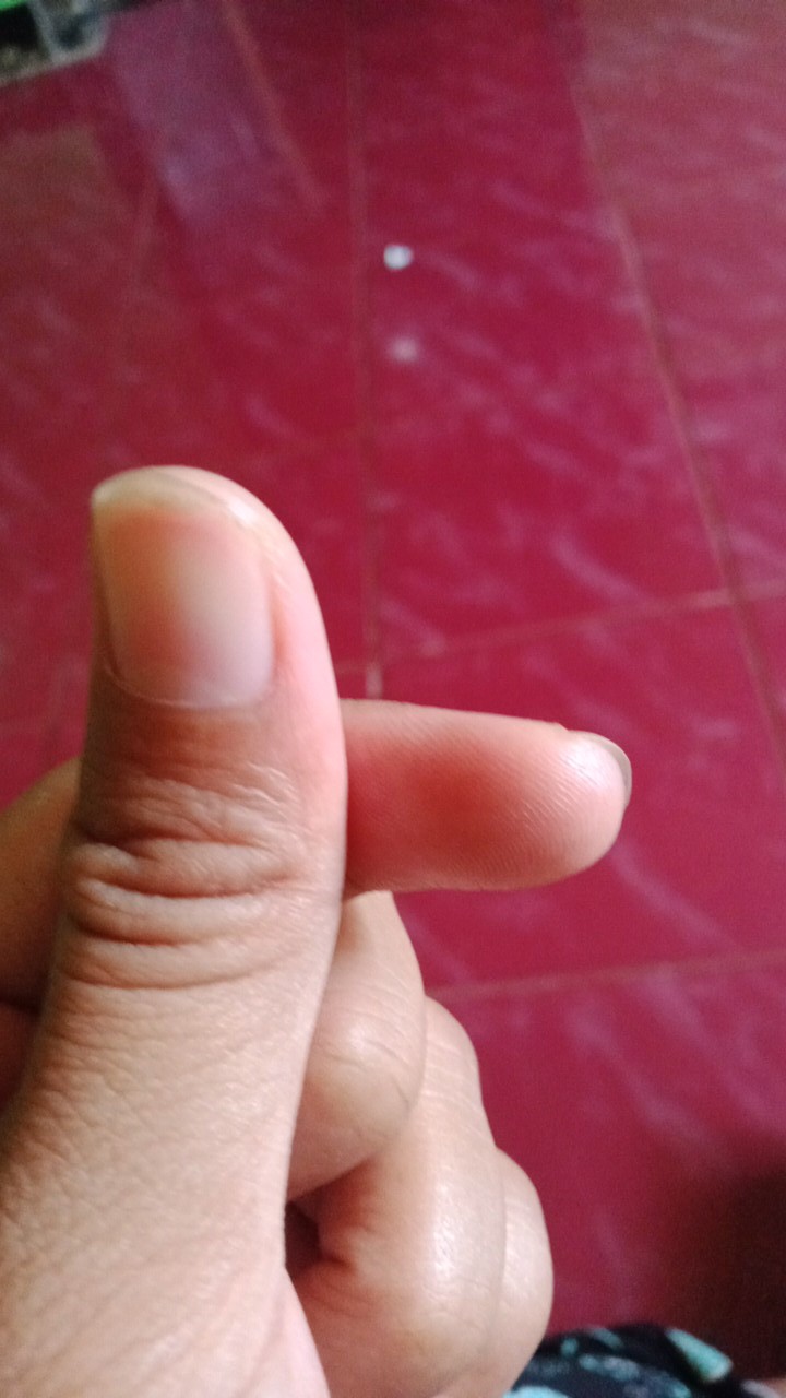 Pisau Daging/golok B018