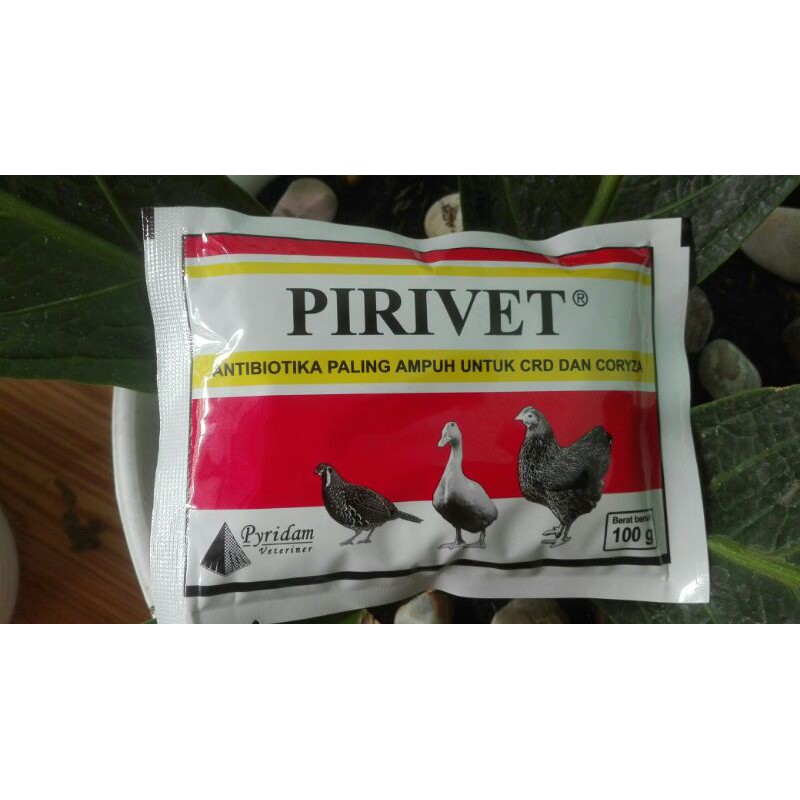 OBAT NGOROK  AYAM PIRIVET 100 GRAM SNOT DAN MENCEGAH EFEK SEKUNDER DARI SNOT