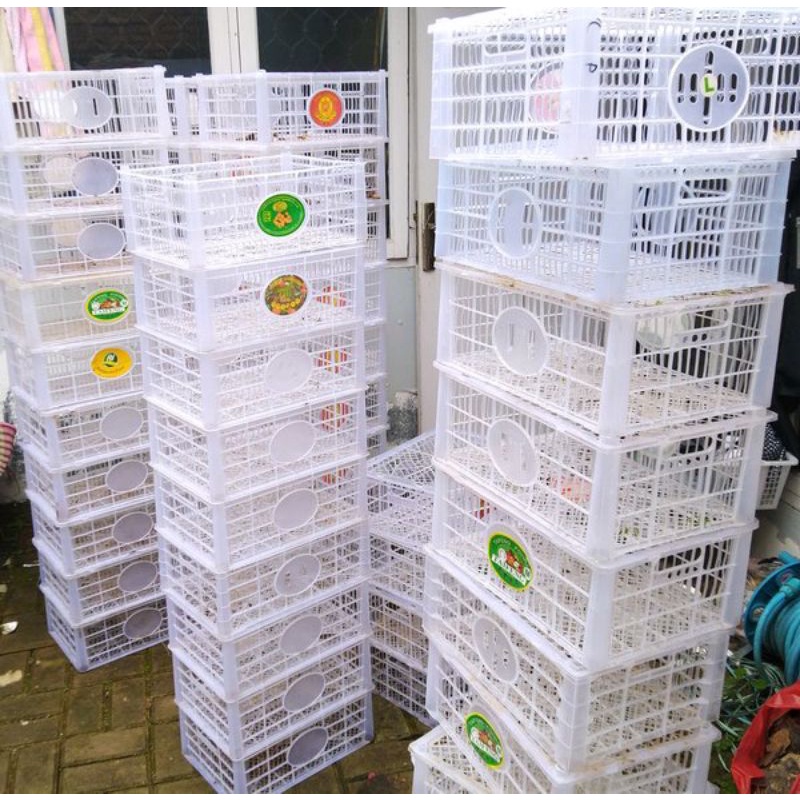 keranjang plastik buah +tutup