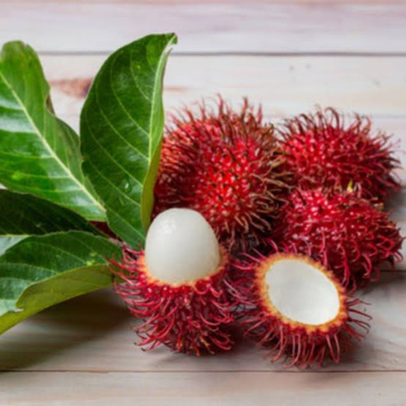 

Buah Rambutan segar berkualitas - 1 ikat
