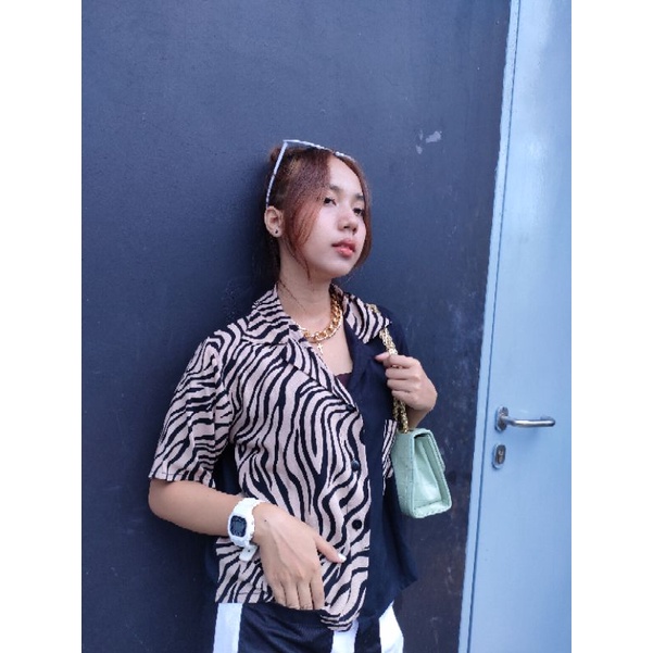 two tone kemeja-Zebra coklat pendek