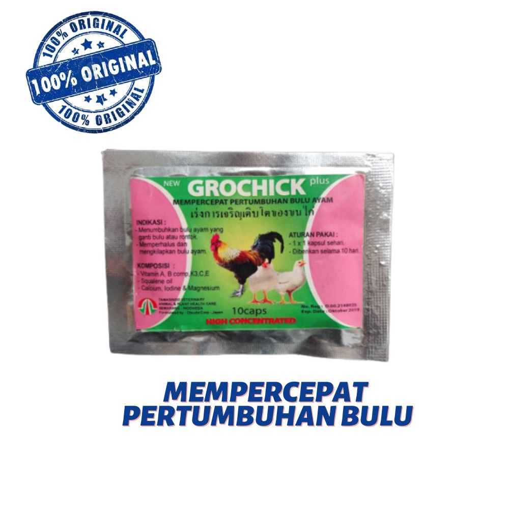 GROCHICK plus 10 caps Mempercepat Pertumbuhan Bulu Ayam yang Rontok