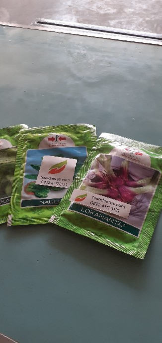 Benih Sawi Hijau Caisim - Tosakan - 25 Gr - Cap Panah Merah / Bibit Hijau Ijo Cesim Dakota Shinta