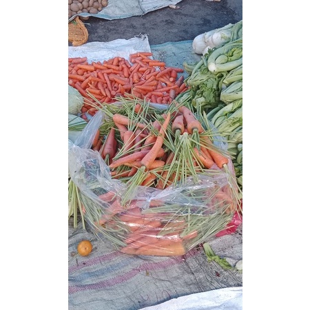 

wortel segar 1kg