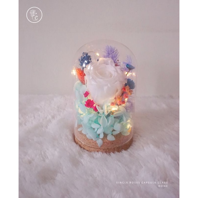 Glass Dome Bunga Kering Hiasan Hadiah Dekorasi Meja / Glass Dome Preserved Flower