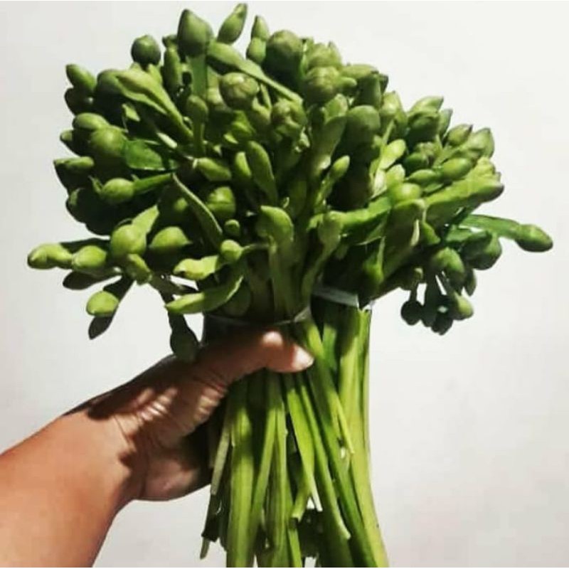 

SAYUR GENJER - 1 IKAT