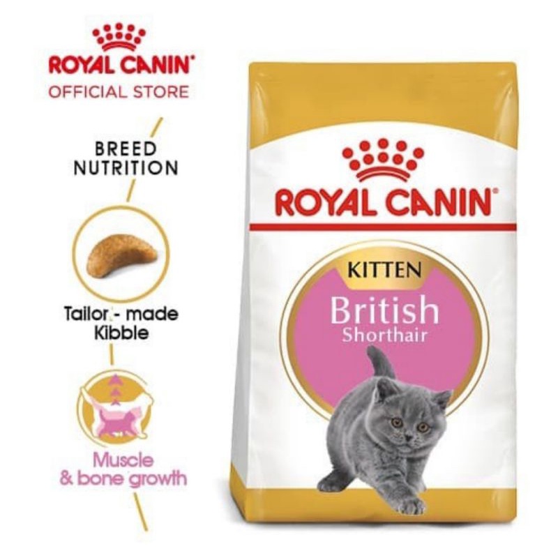 Royal Canin Kitten British Short Hair 2 Kg - Makanan Anak Kucing British Shorthair