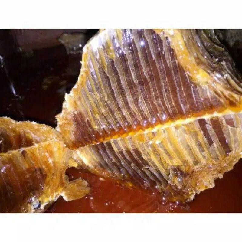 

ABAH HONEY - Madu sarang hutan / honeycomb wild forest - Madu Asli tanpa proses apapun (unprocessed)