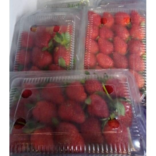

STRAWBERRY FRESH PER PACK