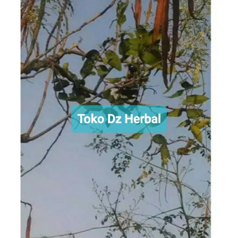 

Paket 1 kg benalu kelor segar asli fresh-az