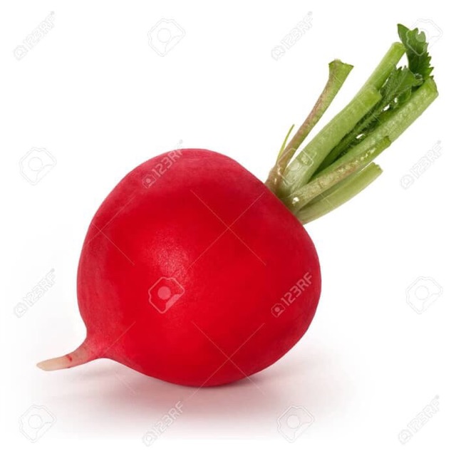

Red radish / lobak merah 500gram