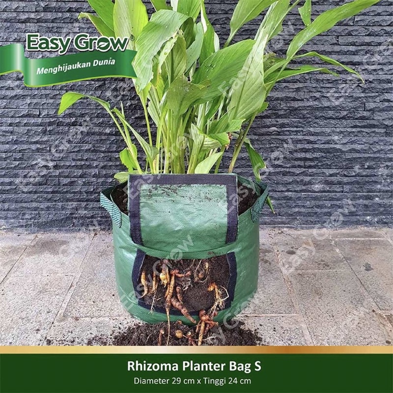 planter bag rhizoma easy grow S