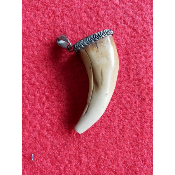 pipa roko Tarcan Tutul (replika)