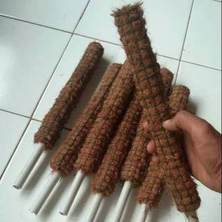 Turus Penyangga Tanaman 30 Cm