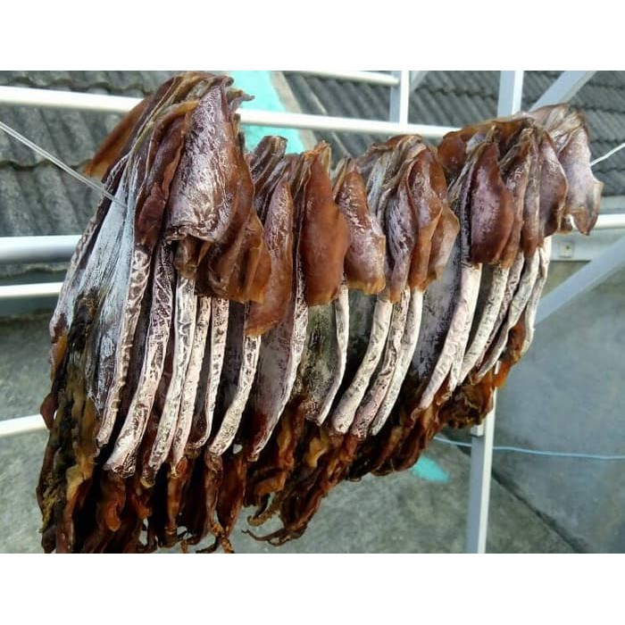 

Juhi / Sotong Kering Tawar Non Sortir Harga Grosir