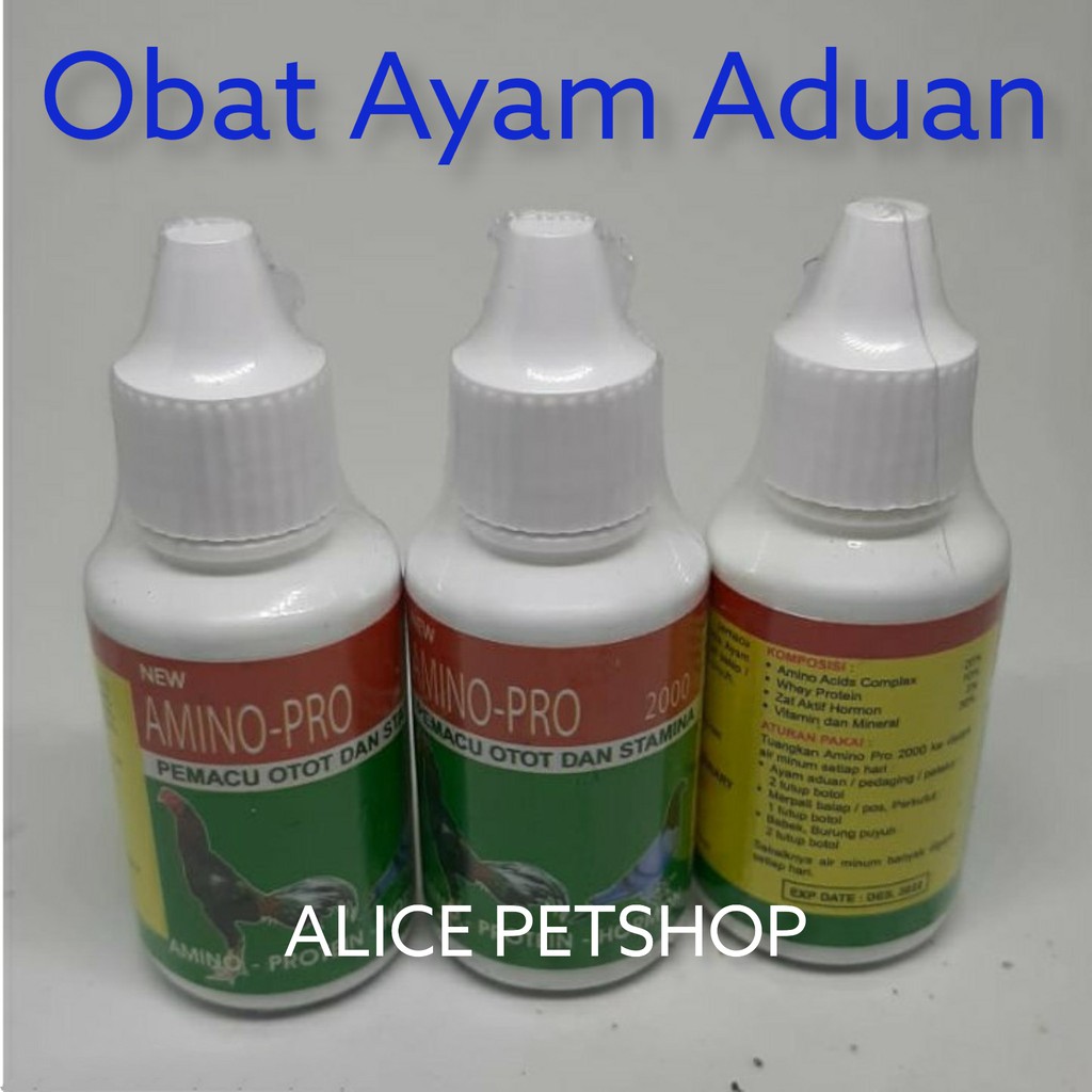 Amino 2000 suplemen untuk ayam jago suplemen ayam jago obat kuat ayam jago