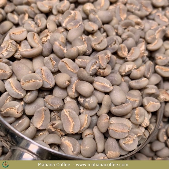 Mahana Coffee - Specialty Sumatra Gayo Grade 1 - Biji Kopi Hijau