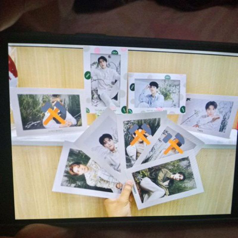 NATURE REPUBLIC POSTCARD CICA GARDEN