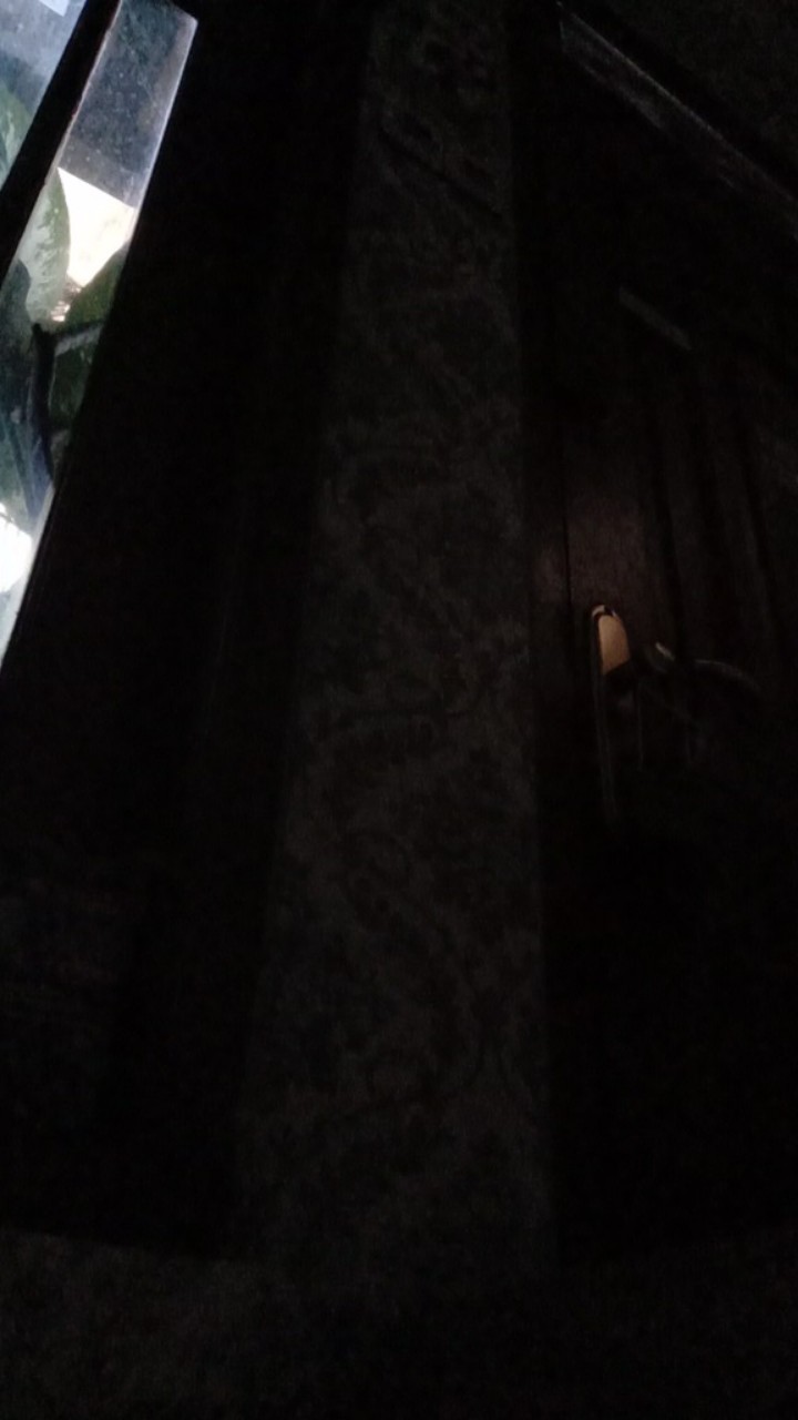 Thinwall 500ml Kotak Panjang/kotak Makan/kotak Nasi/kotak Plastik