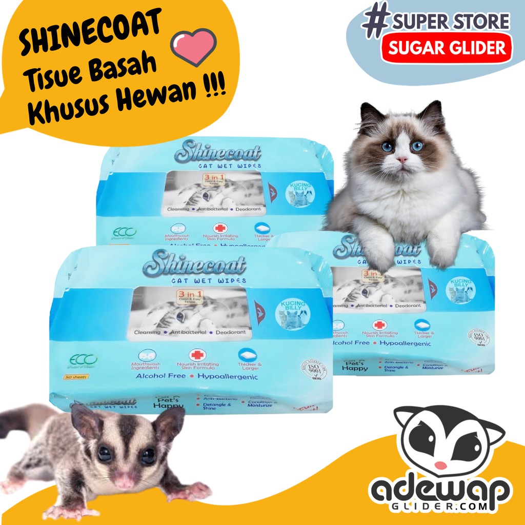 ADEWAP GLIDER Shinecoat Tisue Basah Hewan Peliharaan Sugar Glider