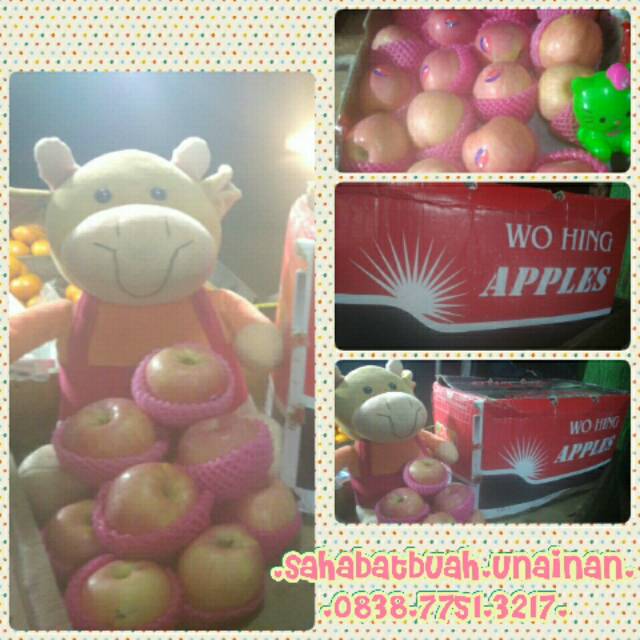 

apel woohing 1dus