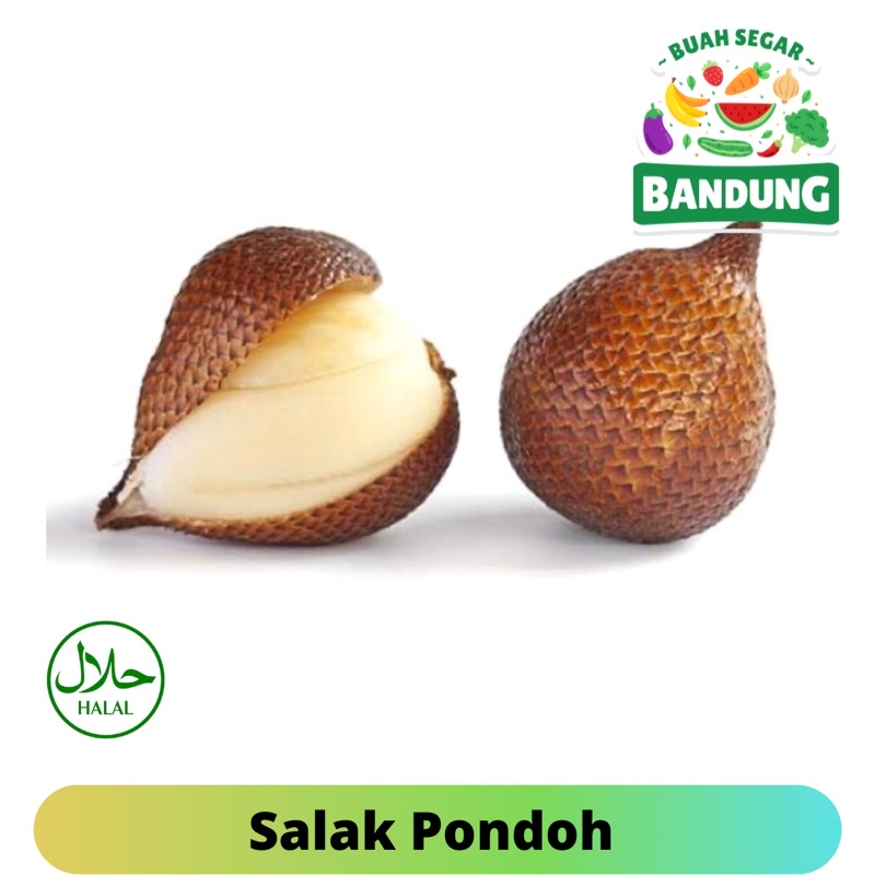 

Salak Pondoh Fresh Manis Kemasan 1KG