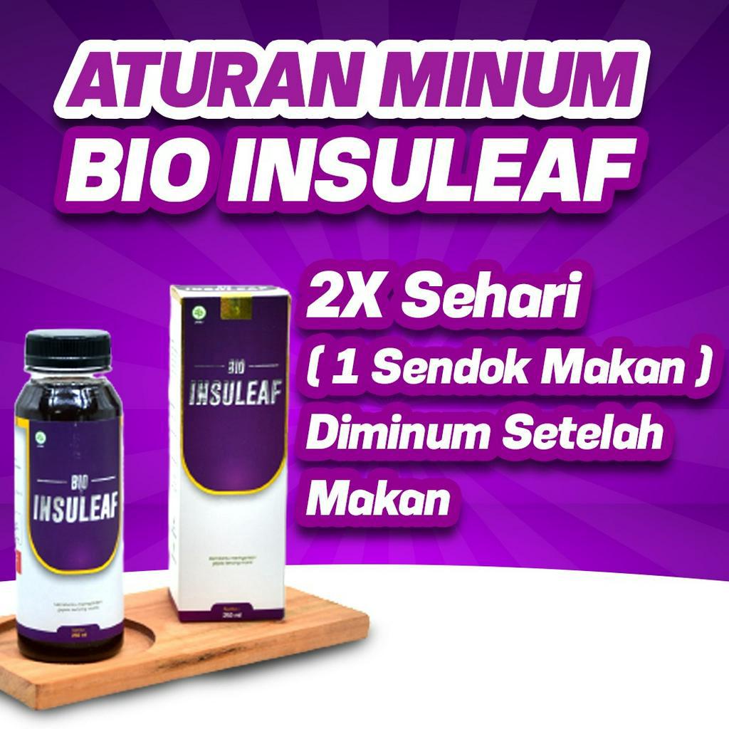 Paket Cegah Diabetes 2 Botol Bio Insuleaf – Herbal Alami Cegah Diabetes Bantu Turunkan Gula Darah Cegah Kencing Manis Asam Urat &amp; Kolesterol BPOM Herbal Anti Diabetes Bantu Kuatkan Daya Tahan Tubuh