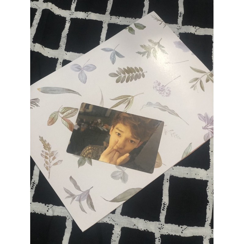 EXO Growl Chen Photocard Pc Official