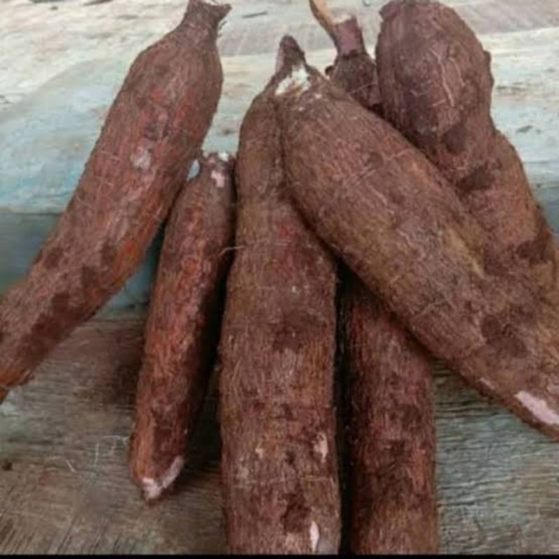 

singkong mempur pulen 1kg