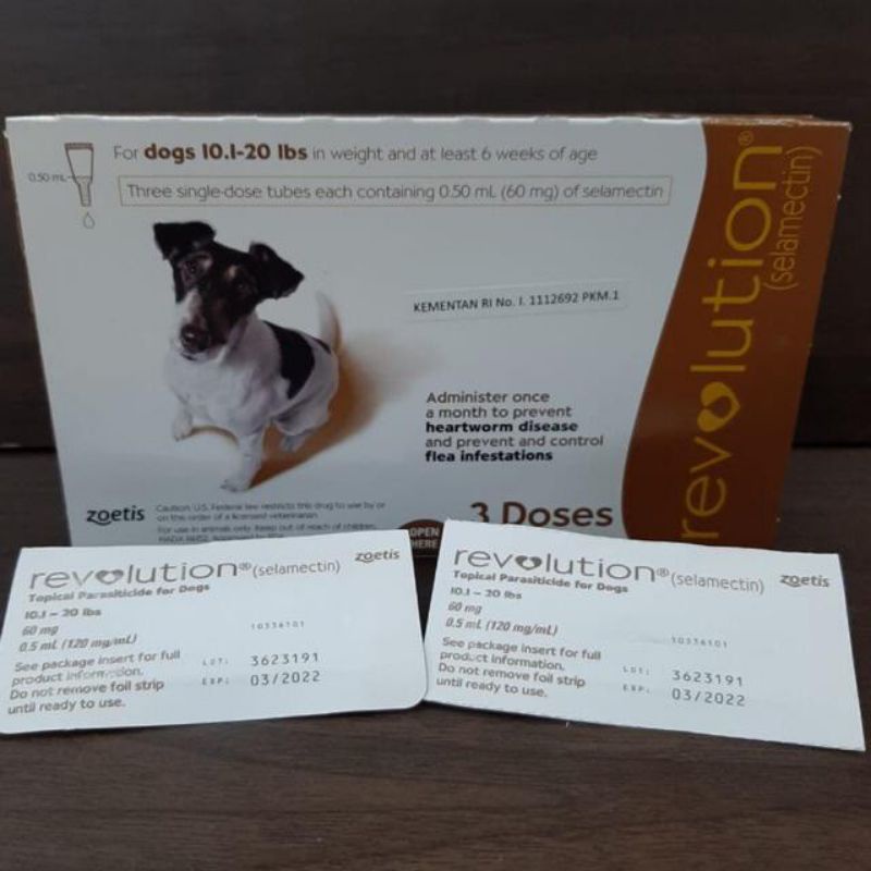 Revolution Brown For Dogs 10,1-20lbs / Revolution obat kutu anjing 5-10kg obat scabies