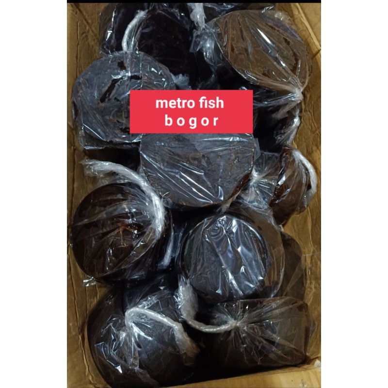 

Gula Batok Palembang