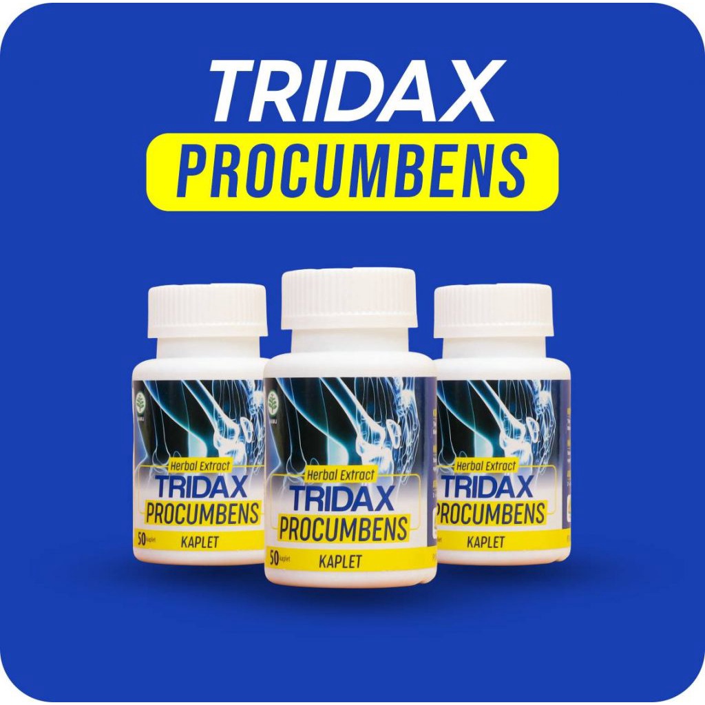 Tridax Procumbens Obat Herbal Asam Urat Reumatik rematik Nyeri Sendi pegalinu pegel linu