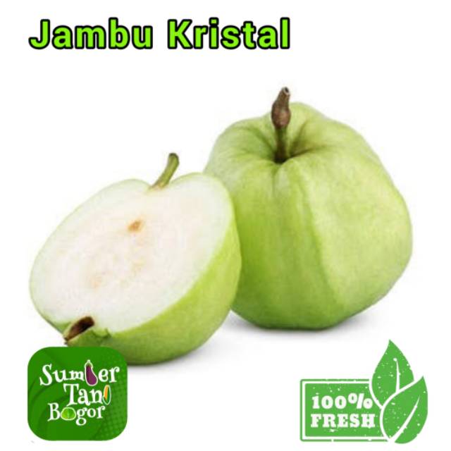 

JAMBU KRISTAL - Per 1Kg