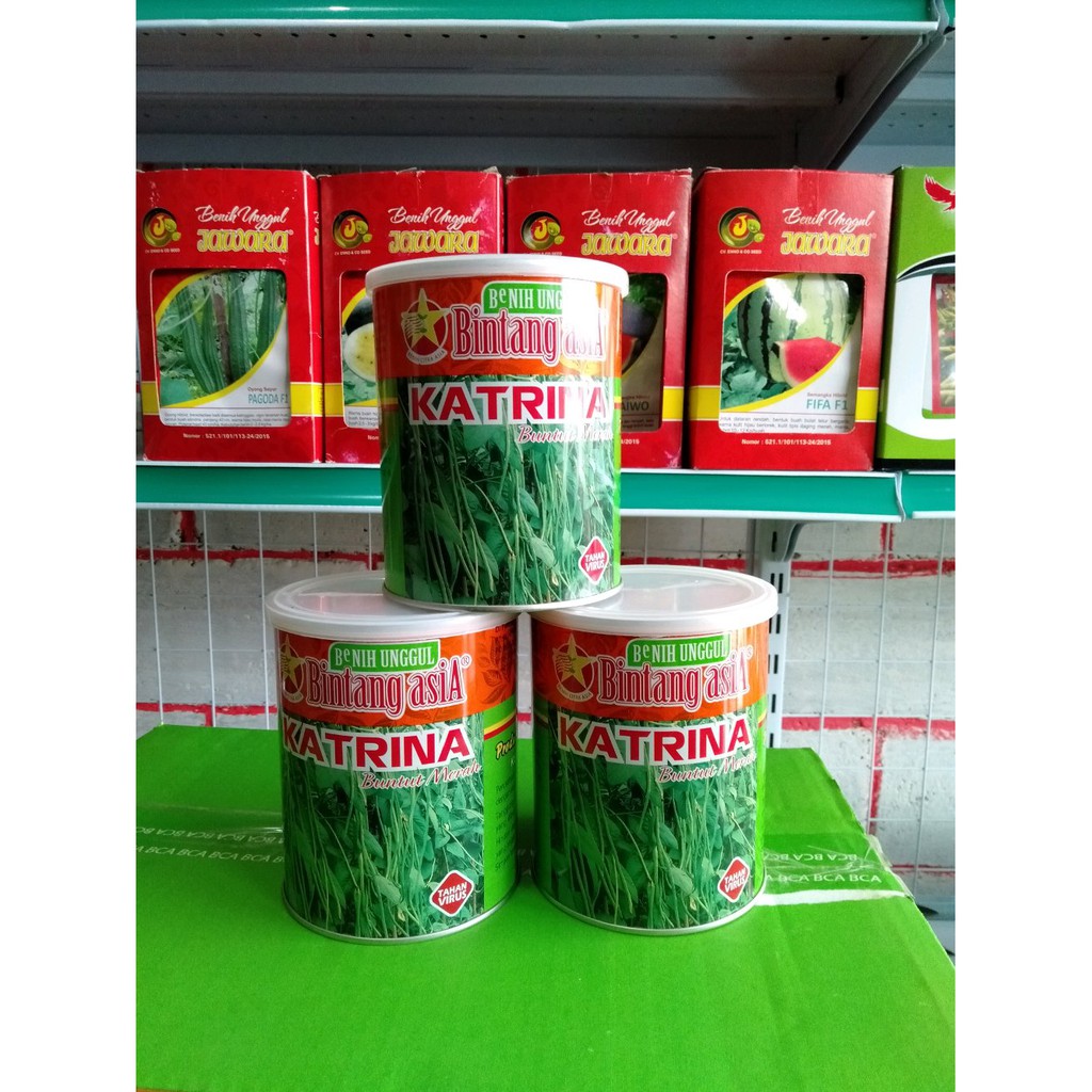 Bibit Kacang Panjang KATRINA Kaleng & Benih Kacang Panjang Limit