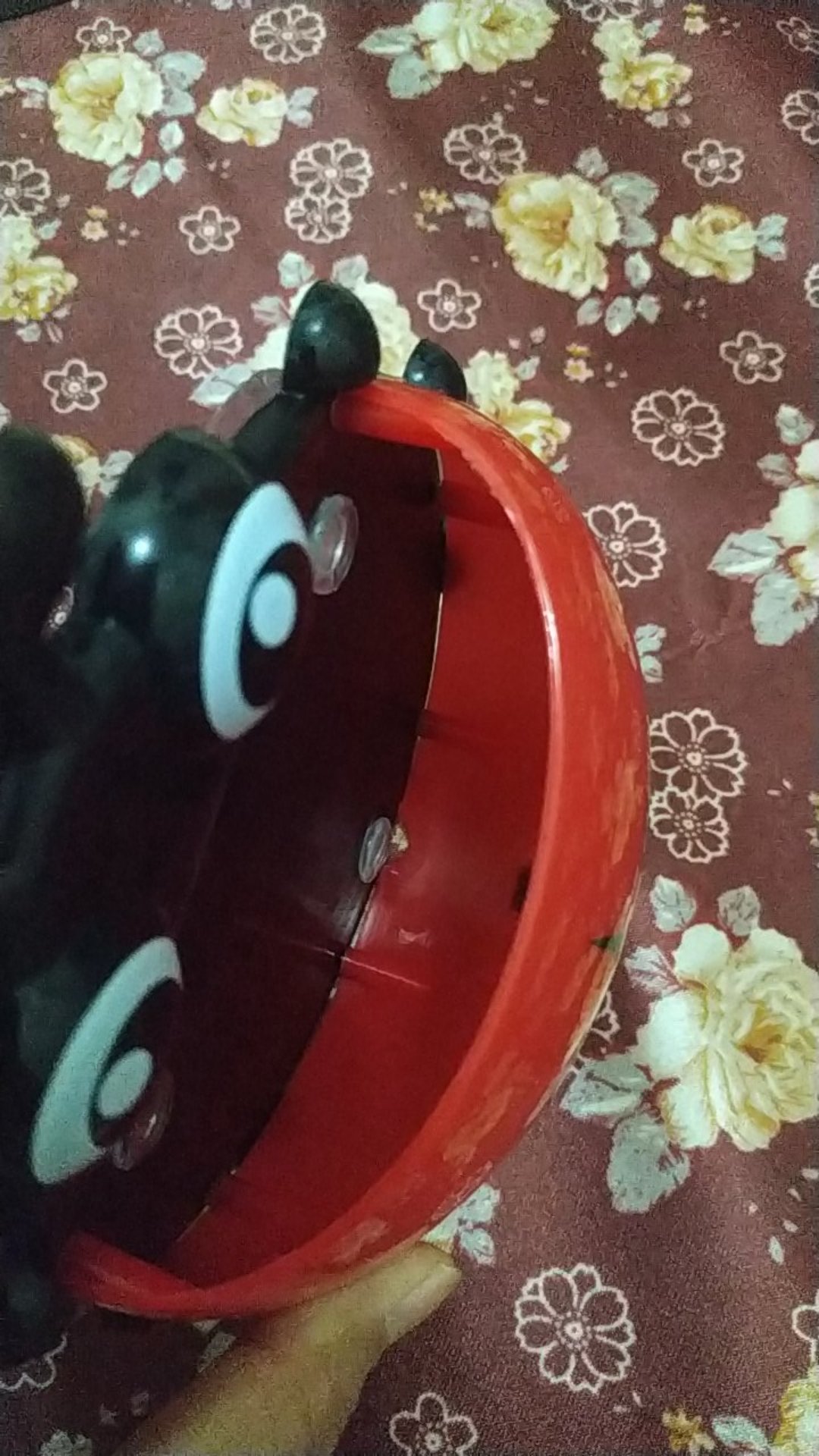 Tempat Odol Dan Sikat Gigi Tempel Ladybug