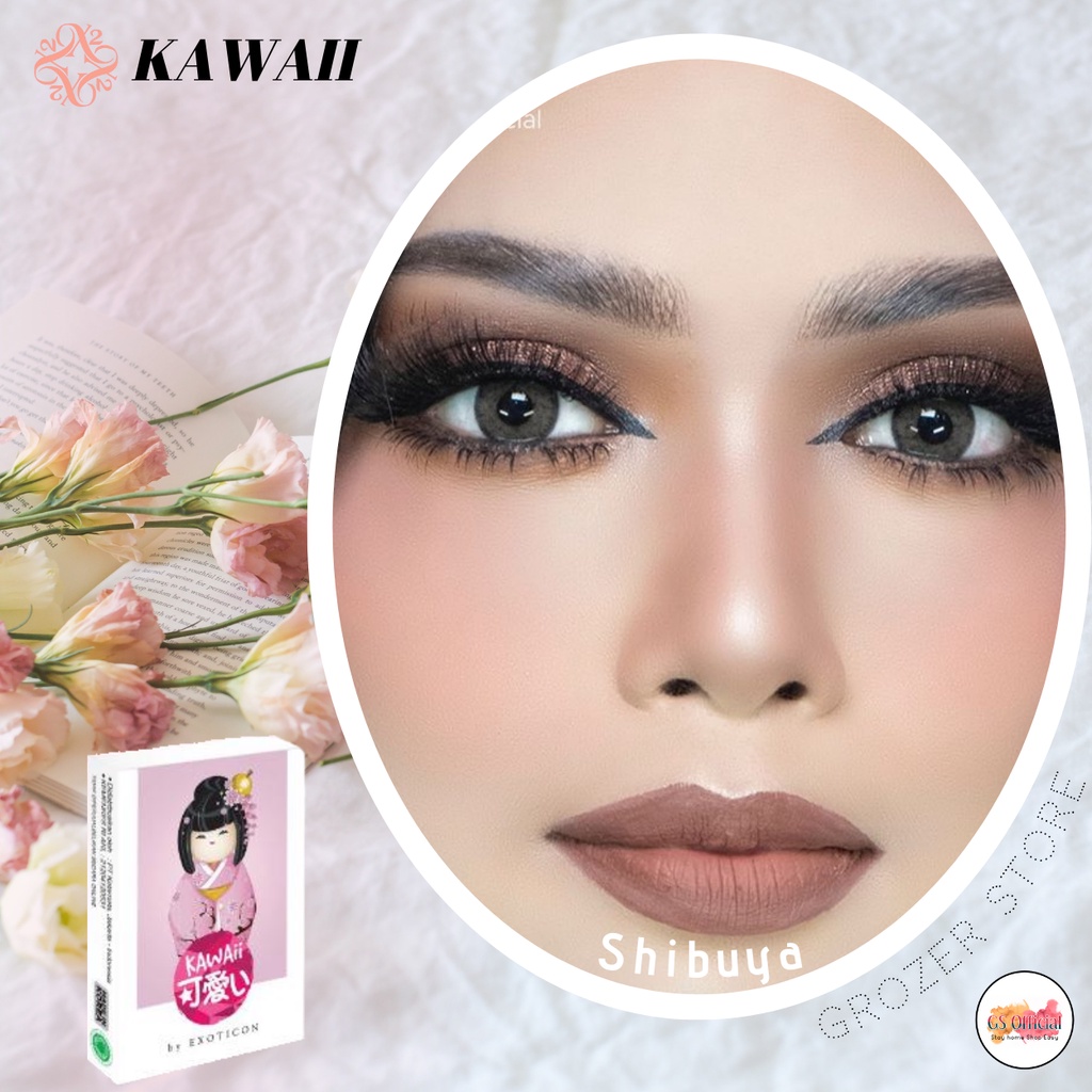 SOFTLENS X2 KAWAII MINUS 0.50 SD 3.00 DIA. 14.50 mm NATURAL LOOK