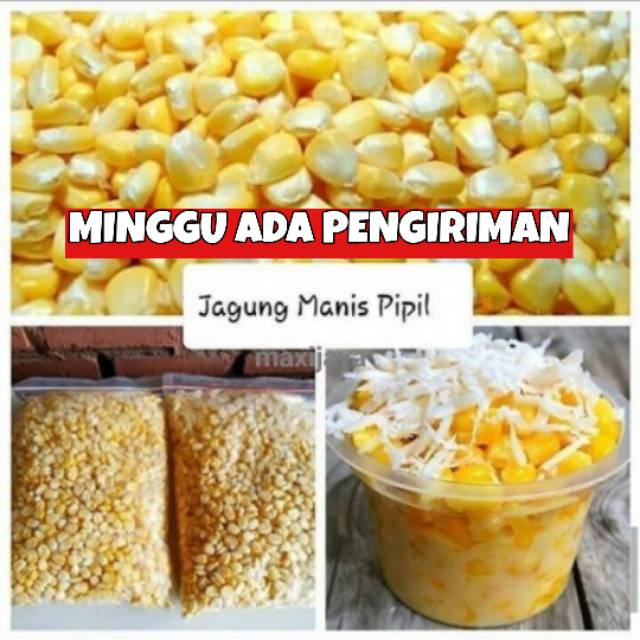 Jagung Manis Pipil Import/ Sweet Corn 1Kg JASUKE Murah Manis