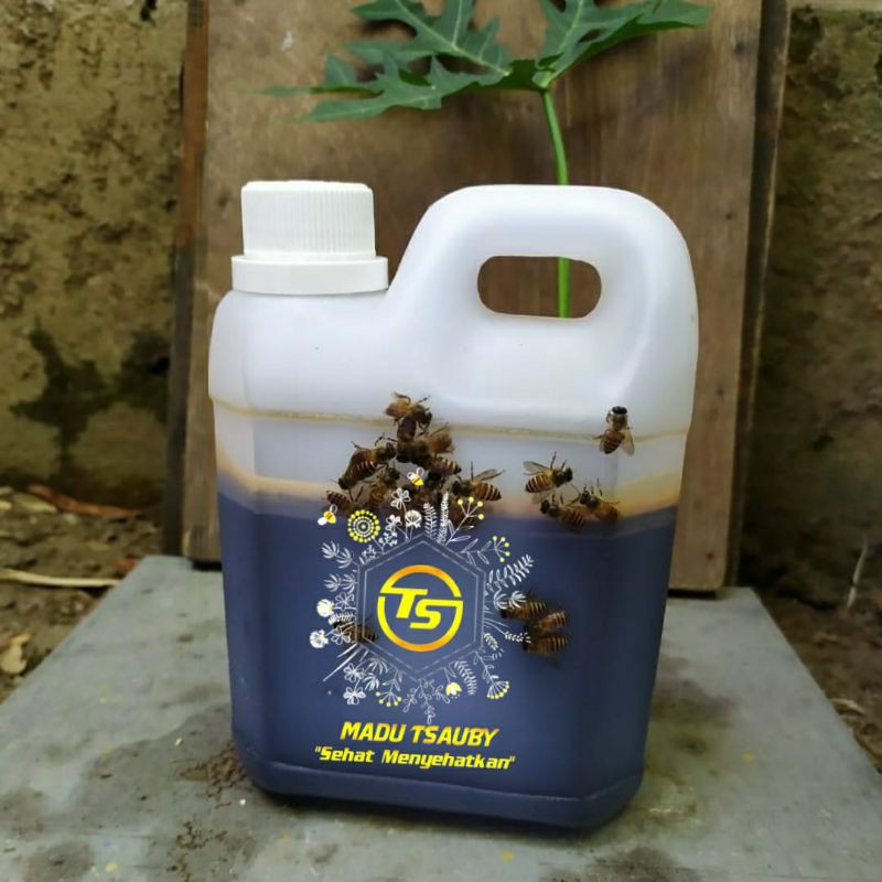 

Madu liar apis dorsata madu murni madu tsauby
