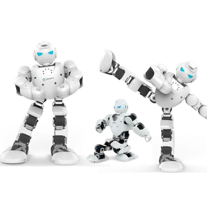 UBTECH ALPHA Type 1S Robot Intelligent Humanoid Robotic / mainan anak robot