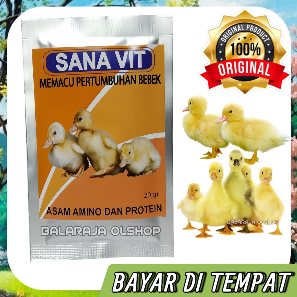VITAMIN PEMACU PERTUMBUHAN DAN PENGGEMUK BADAN ANAK BEBEK ITIK ANGSA ENTOG - SANA VIT