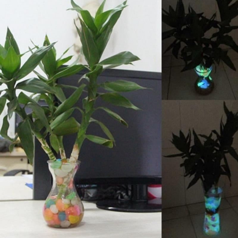 BATU HIAS GLOW IN THE DARK MENYALA DALAM GELAP  HIASAN  AQUARIUM POT TAMAN MURAH