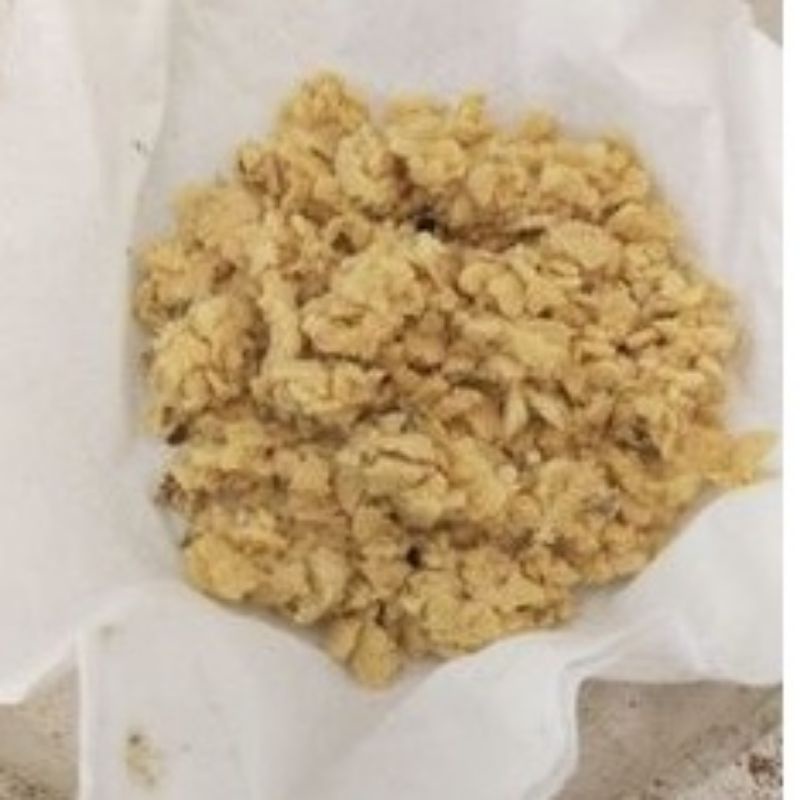 telur maggot bsf per 15 gram