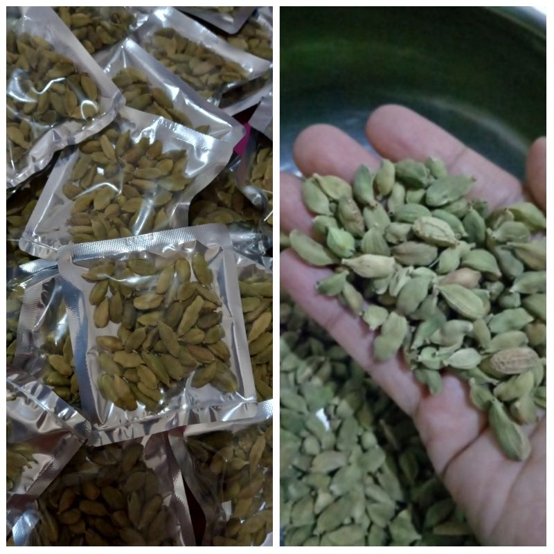 KAPOLAGA INDIA kapolaga hijau masakan khas timur tengah 10gr