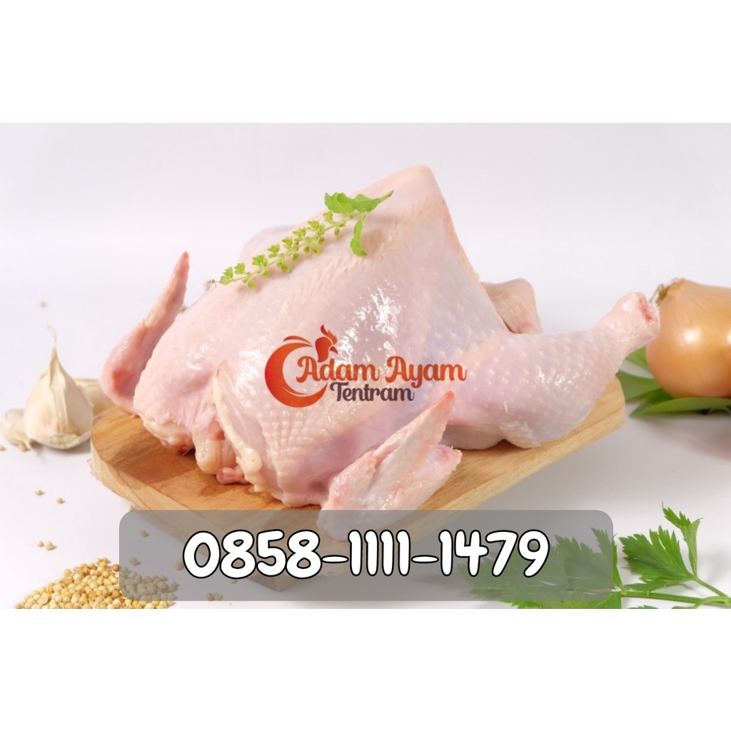 

Ayam Broiler Karkas Fresh/Frozen